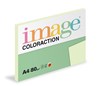 Obrázek Xerografický papír BAREVNÝ - Jungle / pastelově světle zelená / 100 listů / GN27