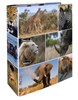 Zobrazit detail produktu - Pořadač A4 pákový lamino - hřbet 7 cm / Afrika / 7168 Obrázek Pořadač A4 pákový lamino - hřbet 7 cm / Afrika / 7168
