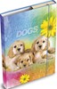 Zobrazit detail produktu - Desky na sešity - A5 box s gumičkou / mix motivů Obrázek Desky na sešity - A5 box s gumičkou / mix motivů