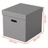 Obrázek Krabice úložná Esselte - kostka / šedá / 365 x 320 x 315 mm / s otvory / 3 ks