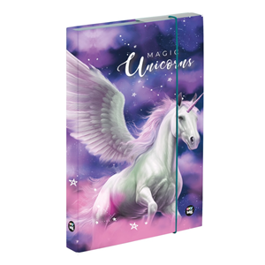 Obrázek Box na sešity A5 - Pegas II.